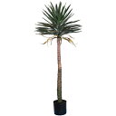 【直送】 【人工観葉植物】ビバ工芸/ユッカアロイフォリア160cm/VDZ-0012 ※返品・代引・キャンセル不可【01】 造花(アーティフィシャルフラワー) ...