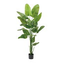 【造花】東京堂/★AX★ストレリチアジョイントポット GREEN グリーン/FG001553【01】 造花(アーティフィシャルフラワー) 造花葉物 造花・人工観...