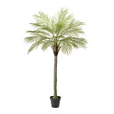 【造花】東京堂/★AX★フェニックスジョイントポット GREEN グリーン/FG006090【01】 造花(アーティフィシャルフラワー) 造花葉物 造花・人工観...