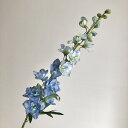 【造花】アスカ/デルフィニウム ライトブルー/A-30999-19【01】 造花(アーティフィシャルフラワー) 造花 花材「た行」 デルフィニューム