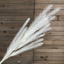 【造花】アスカ/ファーンスプレー #011 クリームホワイト/A-43255-11【01】 造花(アーティフィシャルフラワー) 造花葉物、フェイクグリーン ファーン
