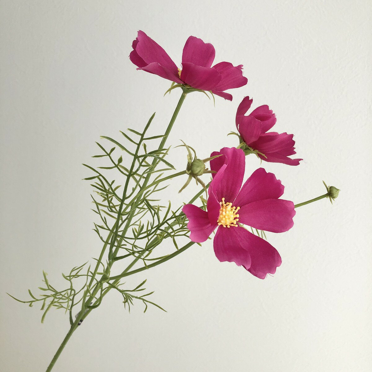 【造花】アスカ/コスモス×3 つぼみ×2 #026 フッシャ/A-33814-26【01】 造花（アーティフィシャルフラワー） 造花 花材「か行」 コスモス