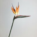 【造花】アスカ/ストレチア オレンジ/A-32483-30【01】 造花(アーティフィシャルフラワー) 造花 花材「さ行」 その他「さ行」造花花材