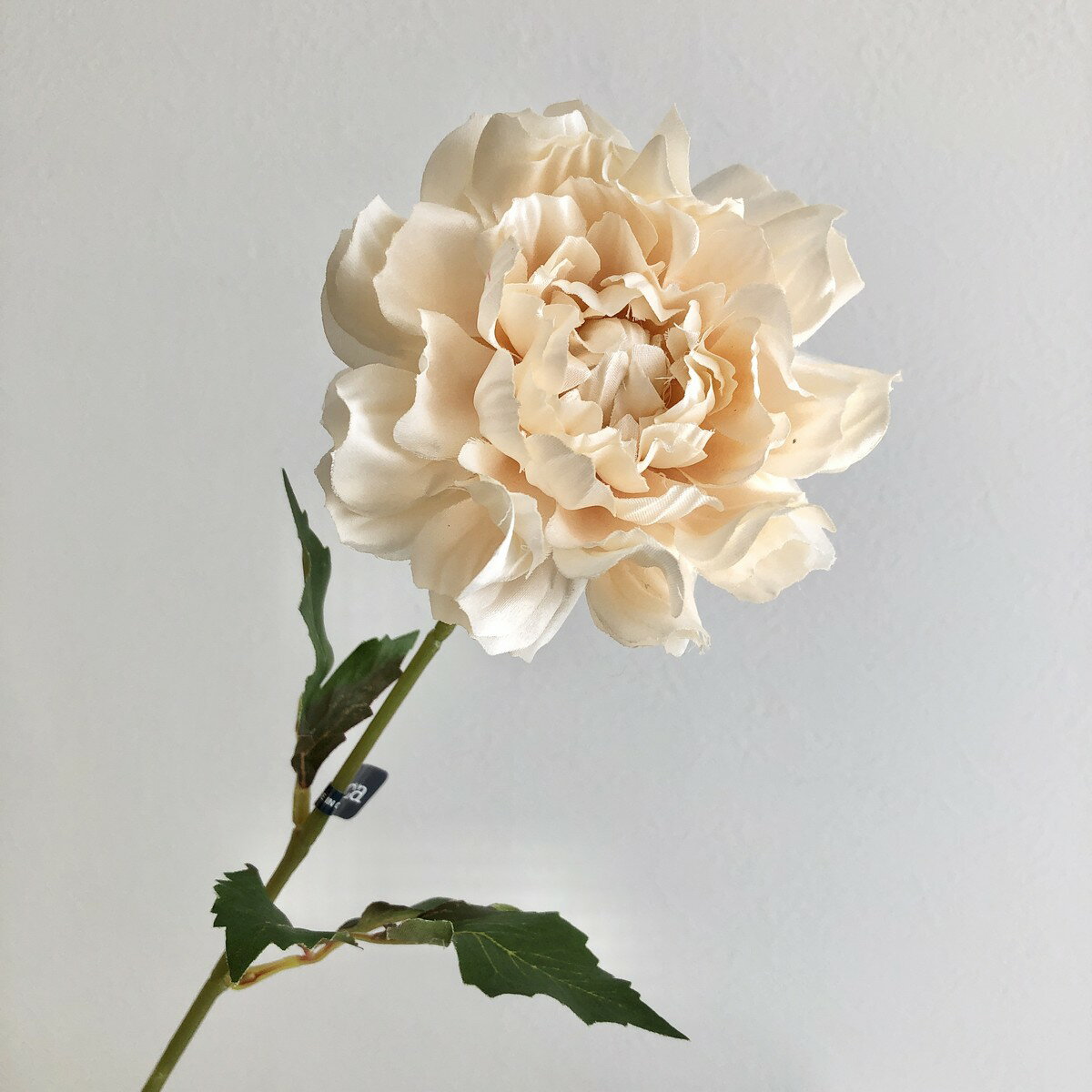 【造花】アスカ/ダリア ソフトベージュ/A-35056-8A【01】 造花（アーティフィシャルフラワー） 造花 花材「た行」 ダリア