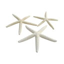 ホワイトスターフィッシュ小(3コ NO.066/165-1095-0【01】 花資材・フローリスト道具 デコレーションパーツ・素材 夏の小物・素材