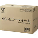 【直送】松村工芸/セレモニーフォーム キング/10-6660-0※返品・代引・キャンセル不可【01】 花資材・フローリスト道具 フローラルフォーム(オアシス) 生花用ブリック