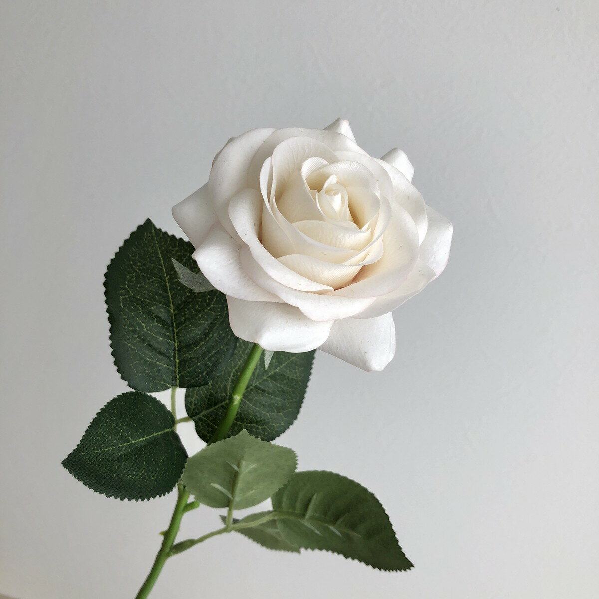 【造花】アスカ/ローズ ホワイトピンク(ナチュラル加工)/A-35164-1P【01】 造花（アーティフィシャルフラワー） 造花 花材「は行」 バラ