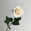 【造花】アスカ/ローズ クリームホワイト(ナチュラル加工)/A-35164-11【01】 造花(アーティフィシャルフラワー) 造花 花材「は行」 バラ