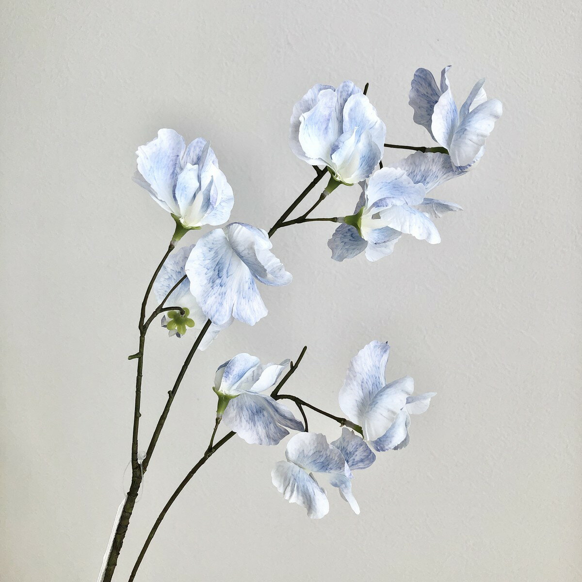 【造花】アスカ/スイトピー×10 シャーベットブルー/A-35128-19S【01】 造花（アーティフィシャルフラワ..