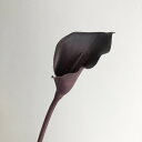 【造花】アスカ/カラーリリィ エッグプラント/A-35157-35E【01】 造花(アーティフィシャルフラワー) 造花 花材「か行」 カラー