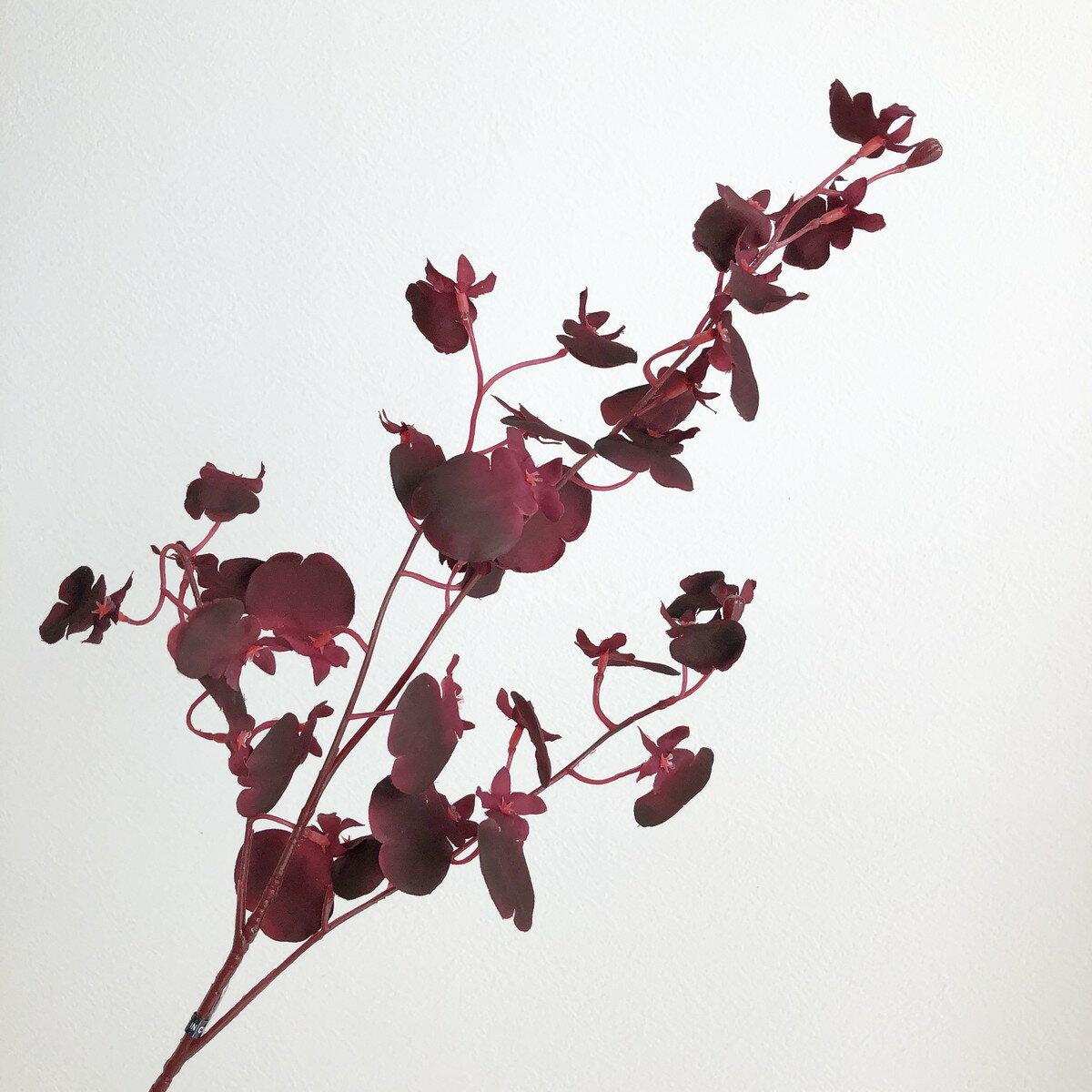 【造花】アスカ/オンシジューム×32 ワイン/A-34835-15A【01】 造花（アーティフィシャルフラワー） 造花 花材「あ行」 オンシジューム