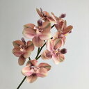 【造花】アスカ/コチョウラン×7 ピーチバーガンディ/A-35169-4D【01】 造花(アーティフィシャルフラワー) 造花 花材「か行」 コチョウラン(胡蝶蘭)