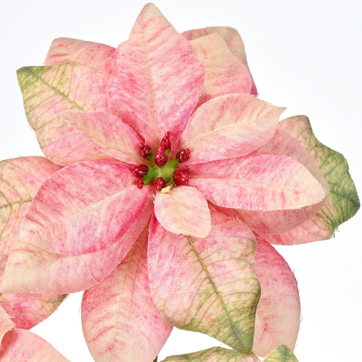 【造花】MAGIQ東京堂/レディポインセチア #2 PK/GR ピンクグリーン/FX001023-002【01】 造花（アーティフィシャルフラワー） 造花 花材「は行」 ポインセチア 2