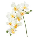 【造花】MAGIQ東京堂/プリムオーキッド #1 CR/YEL クリームイエロー/FM001044-001【01】 造花(アーティフィシャルフラワー) 造花 花材「ら行」 ラン(蘭)・オーキッド