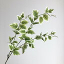 【造花】アスカ/ホヤスプレー クリームグリーン/A-42455-053A【01】 造花(アーティフィシャルフラワー) 造花葉物 ホヤ