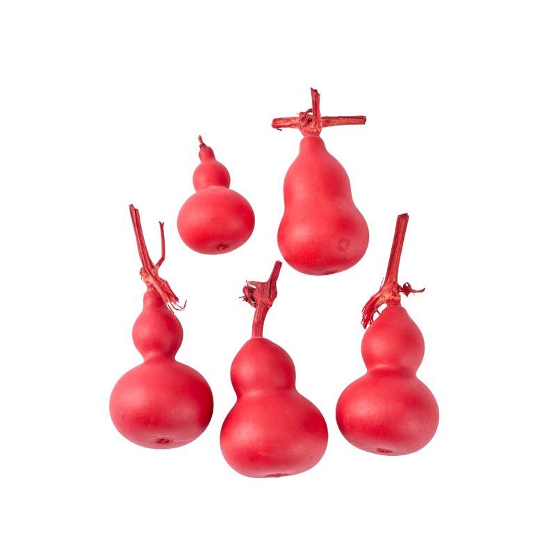 【ドライ】大地農園/豆ひょうたん 5個 レッド/22330-300【01】 ドライフラワー ドライ実物＆フルーツ その他