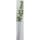 【造花】アスカ/コデマリ×5 クリームホワイト/A-32251-11【01】 造花(アーティフィシャルフラワー) 造花 花材「か行」 コデマリ