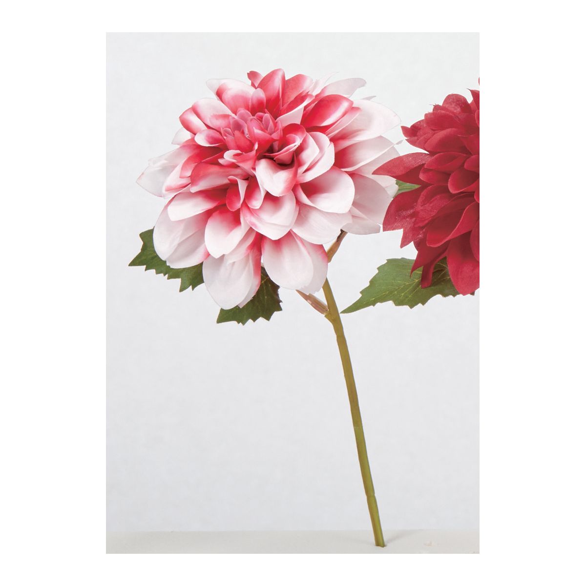 【造花】アスカ/ダリアピック ホワイトレッド/A-35258-1R【01】 造花（アーティフィシャルフラワー） 造花 花材「た行」 ダリア