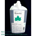 パレス化学/ブランチー 5L オレンジ/【07】 花資材・フローリスト道具 ドライ・プリザ用資材 プリザーブドフラワー加工液