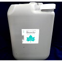 パレス化学/ブランチー 20L グリーン/【07】 花資材・フローリスト道具 ドライ・プリザ用資材 プリザーブドフラワー加工液