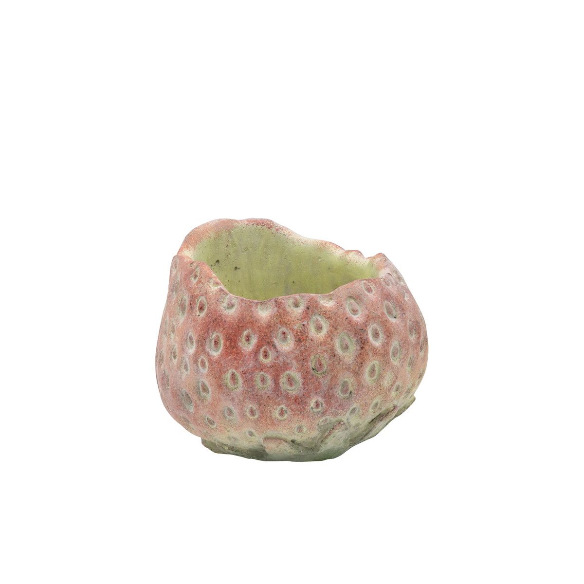 CARNAC/シャンタルフルーツフレーズC/LC059【01】 ガーデニング・園芸用品 植木鉢・フラワーポット セメント鉢のサムネイル