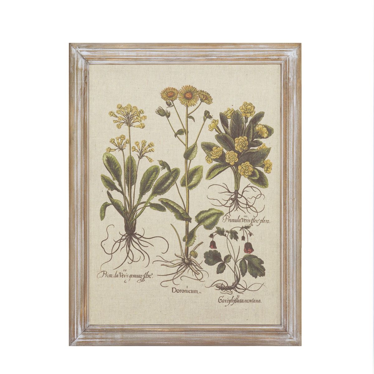 CARNAC/ボタニックフレーム02/JFB014【01】 店舗ディスプレイ・店内装飾 壁掛け・ウォールデコ ウォー..