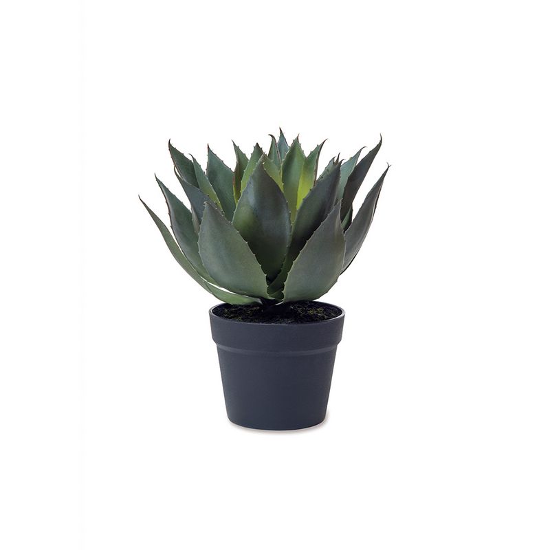 【造花】POSH LIVING/アガベ/81122【07】 造花（アーティフィシャルフラワー） 造花葉物 造花・人工観..