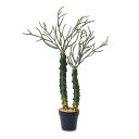 【造花】POSH LIVING/ユーフォルビア/81123【07】 造花(アーティフィシャルフラワー) 造花葉物 造花・人工観葉植物 高さ〜100cm