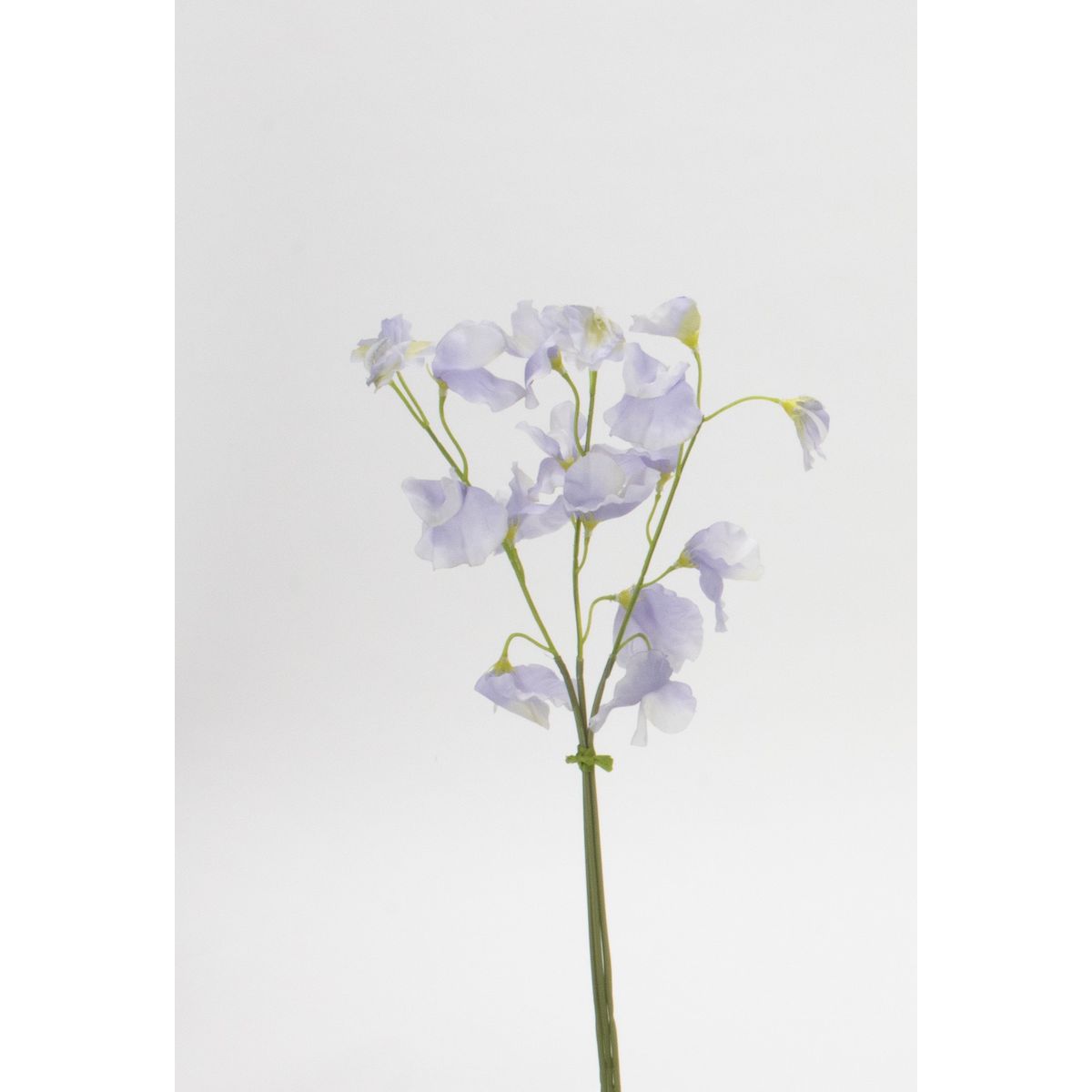 【サイズ】花Φ3-4.5cm/L37cm【販売単位】12束 ※表示価格は、この単位での金額となります［その他サイズ］［重量］［入数］［材質］ポリエステル、ポリエチレン［規格］［特徴］［使用方法］［注意事項］・造花は人の手作業で作られており、一つ一つに生のお花同様の個体差があります。シワ・ほつれ等はリペアを施してご利用ください。・お花・実・葉は茎から取れる仕様になっているものが大半です。お届け時に取れてしまっている場合は付け戻してご利用下さい。【はなどんやお取り扱い商品について】■はなどんや掲載商品には、在庫品とメーカーお取寄商品がございます。掲載納期をご参考にされて下さい。即日発送の納期が記載されている商品でも、当店在庫が欠品となった場合には、お取り寄せにてご手配を進めさせていただきます。※コンビニ支払い・銀行振込等、前払い決済でのご注文については即日発送の対象外となります。■他店舗でも販売をしているため、また、メーカーの実在庫欠品等によりご注文後にご用意ができなくなる場合がございます。その場合にはメールにてご案内をさせて頂きます。■分納は承っておりません。一番遅い納期の商品に合わせて発送となります。/【VAR：86844】date20250821造花（アーティフィシャルフラワー） 造花 花材「さ行」 スイトピー/