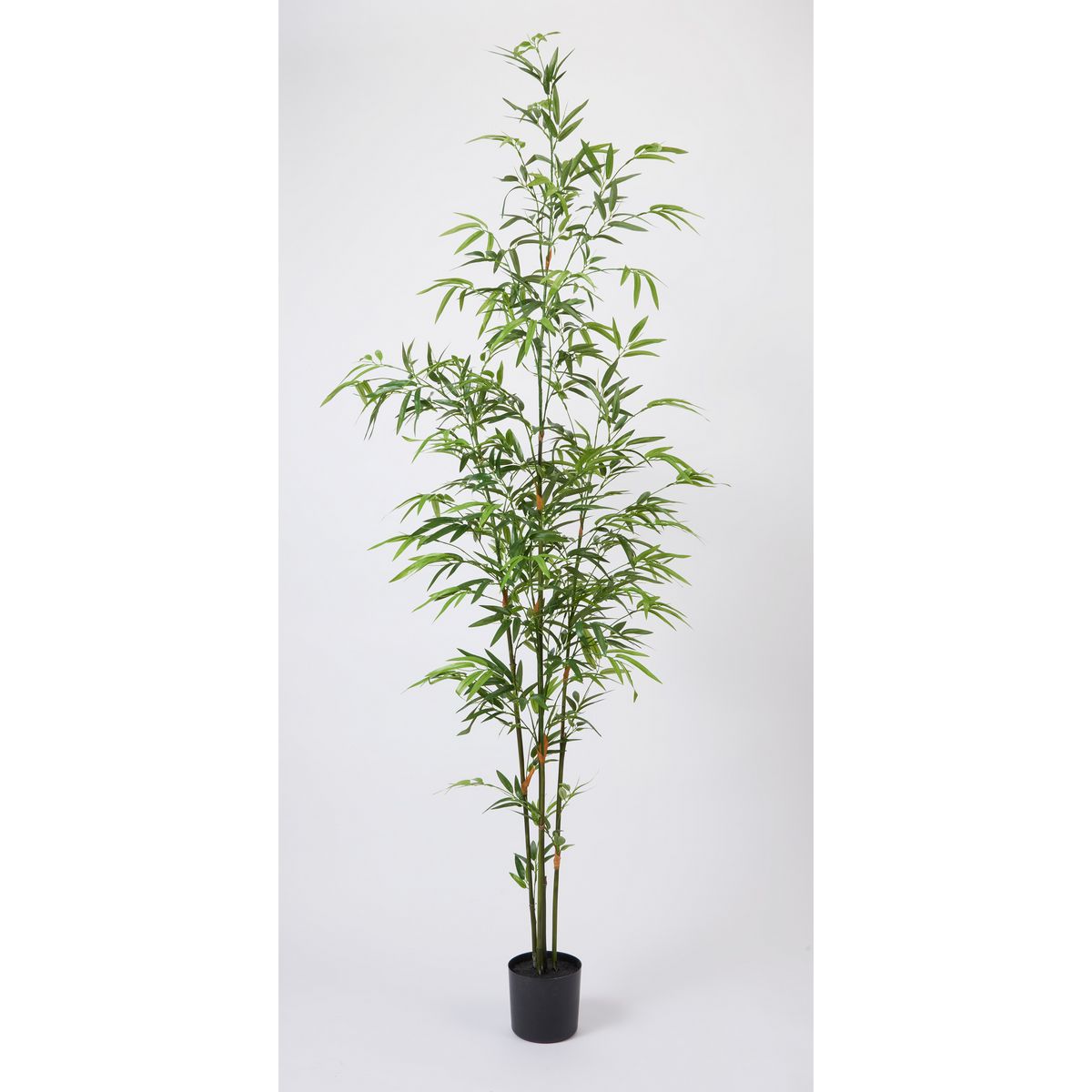 【直送】【人工観葉植物】ビダヤコム/バンブーポット グリーン/FD3626-024G ※返品・代引・キャンセル不..
