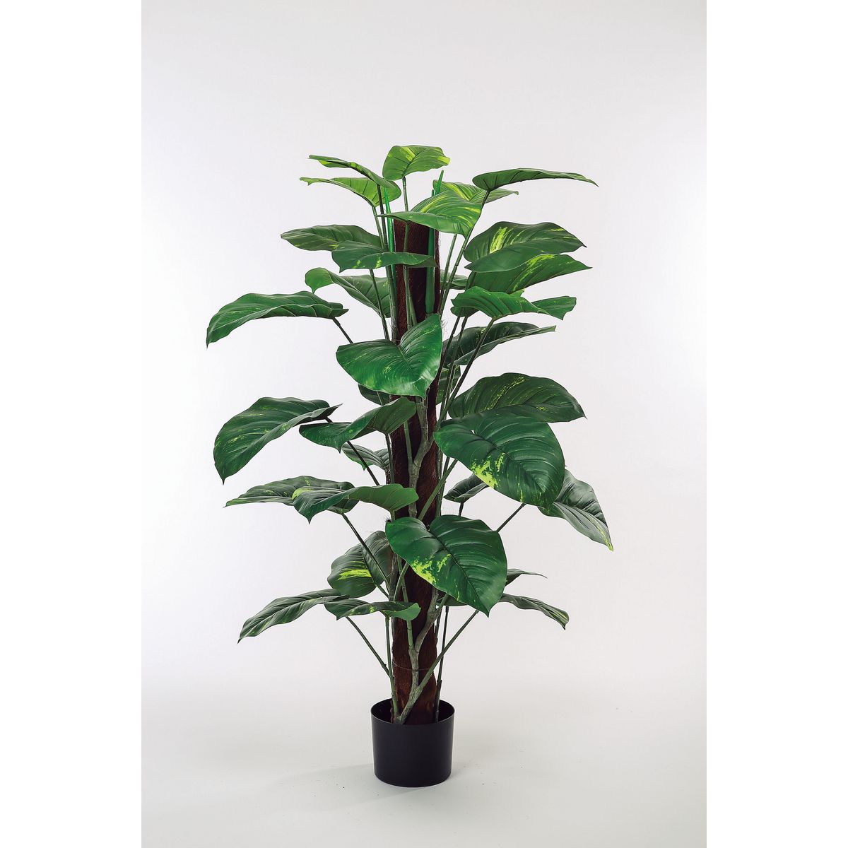 【直送】【人工観葉植物】ビダヤコム/ポトスヘゴポット グリーン/FD4038-024G ※返品・代引・キャンセル..