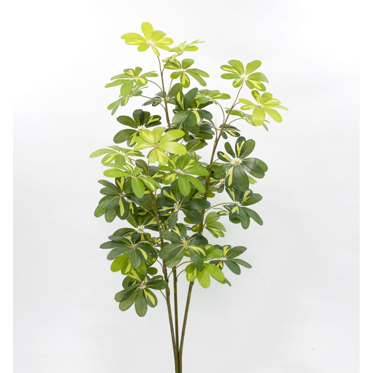 【直送】【人工観葉植物】ビダヤコム/シェフレラ(S) グリーン/イエロー/V25099-186G/Y ※返品・代引・キャンセル不可【01】[2本] 造花（アーティフィシャルフラワー） 造花葉物 造花・人工観葉植物 高さ～150cm