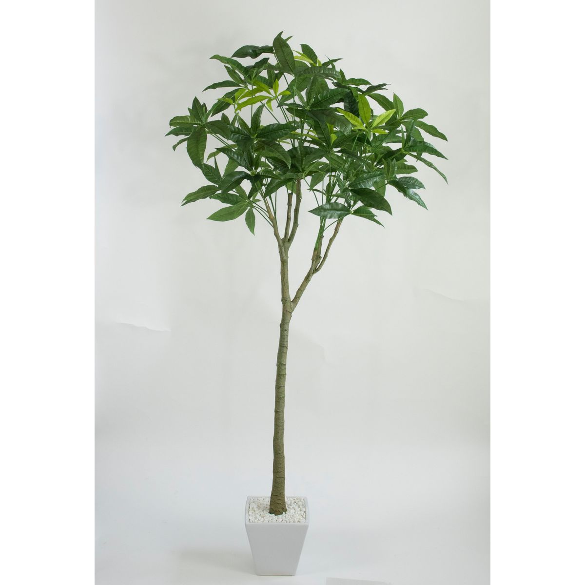 【直送】【人工観葉植物】ビダヤコム/パキラポット グリーン/V22106-024G ※返品・代引・キャンセル不可..