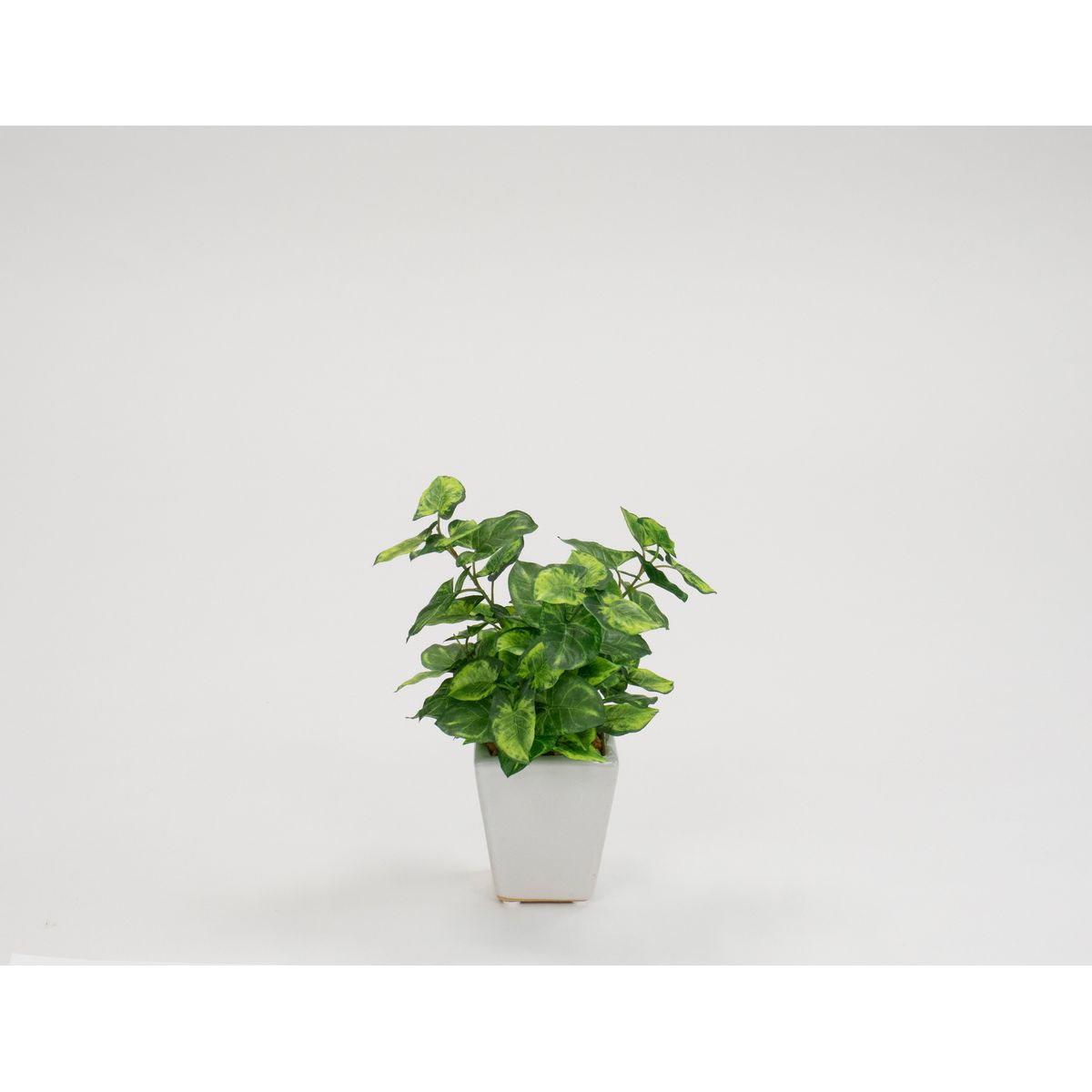 【人工観葉植物】ビダヤコム/シンゴニュームポット ツートン/グリーン/V24034-0822T/G【01】[12本] 造..