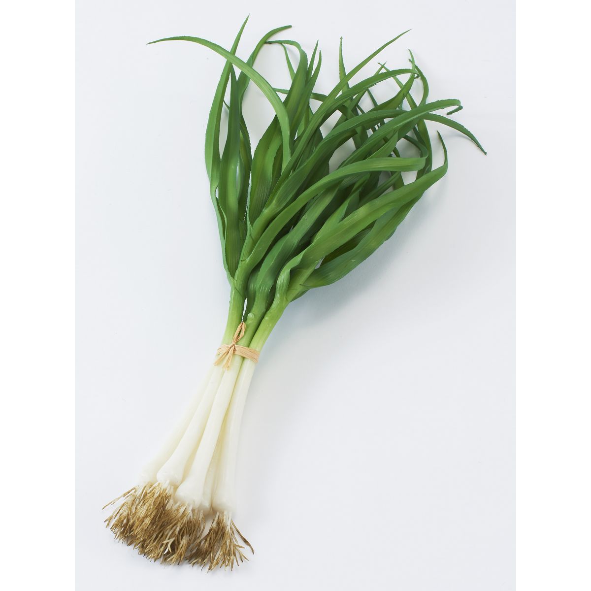 【造花】ビダヤコム/ネギ(6本/束) グリーン/FD3631-024G【01】[6束] 造花（アーティフィシャルフラワー） 造花実物、フェイクフルーツ フルーツ、ベジタブル