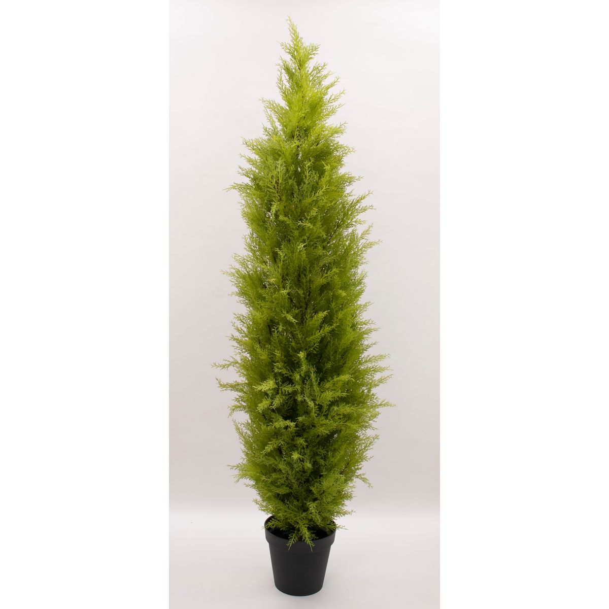 【直送】【人工観葉植物】ビダヤコム/ゴールドクレストポット(XL) グリーン/FD3166-024G ※返品・代引・..
