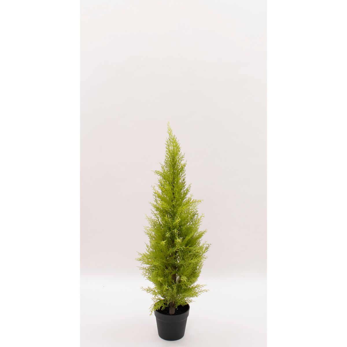 【直送】【人工観葉植物】ビダヤコム/ゴールドクレストポット(S) グリーン/FD3167-024G ※返品・代引・..