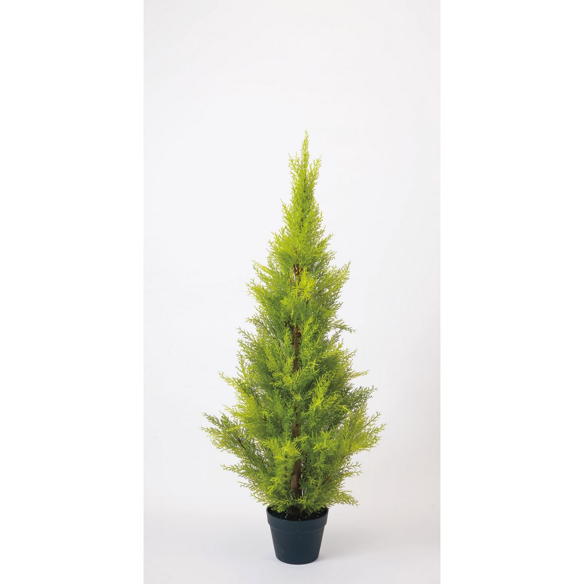 【直送】【人工観葉植物】ビダヤコム/ゴールドクレストポット(M) グリーン/FD3705-024G ※返品・代引・..
