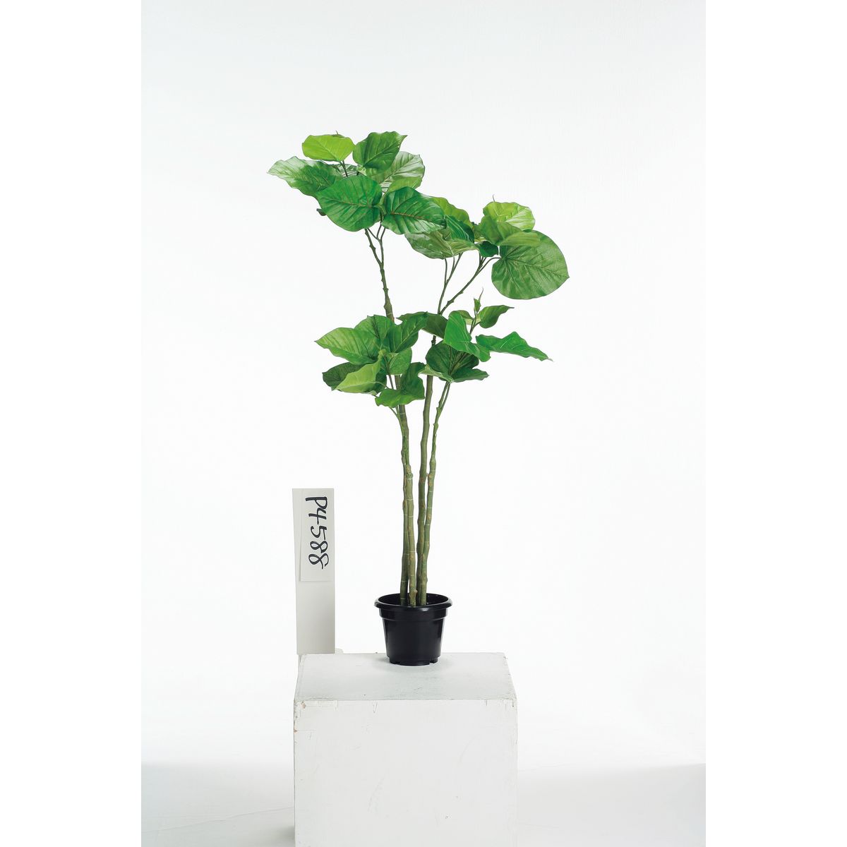 【直送】【人工観葉植物】ビダヤコム/Planeco ウンベラータポット/VR22024-024G ※返品代引キャンセル不..