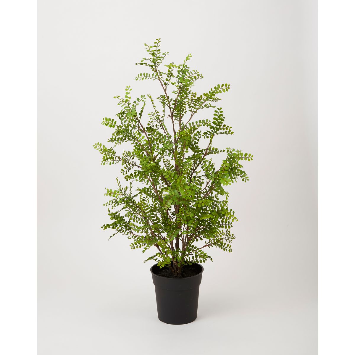 【直送】【人工観葉植物】ビダヤコム/Planeco シルクジャスミンポット/VR22031-024G ※返品代引キャンセ..