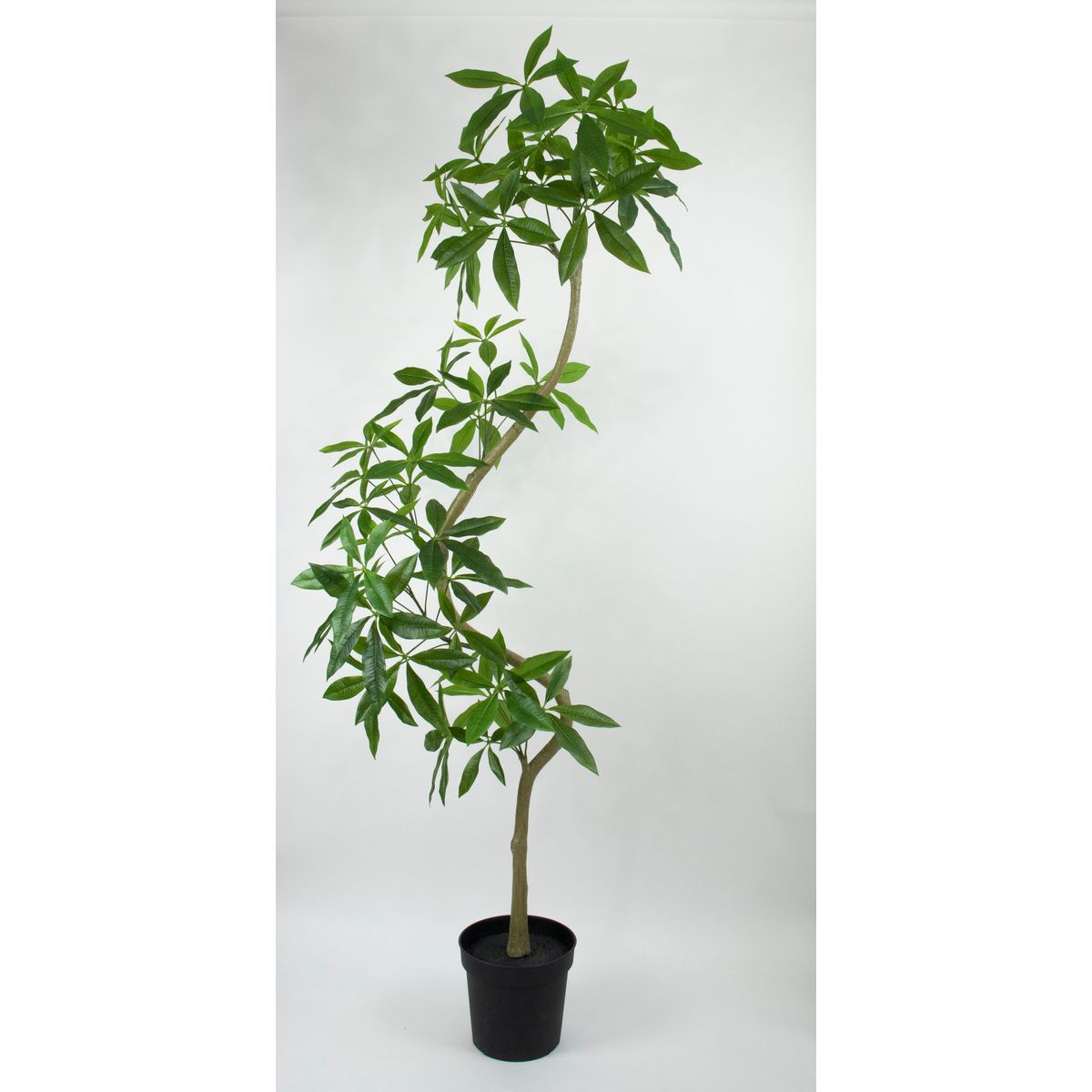 【直送】【人工観葉植物】ビダヤコム/Planeco ツイストパキラポット(組立式)/VR23101-024G ※返品代引キ..