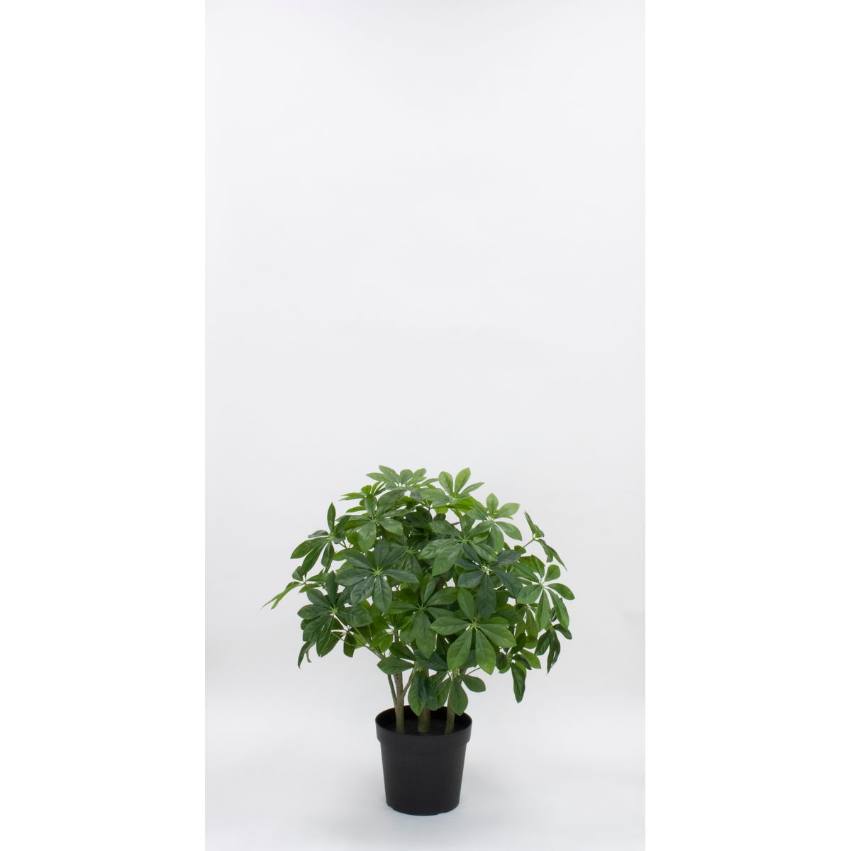 【直送】【人工観葉植物】ビダヤコム/Planeco シェフレラポット(3WAY)/VR23105-024G ※返品代引キャンセ..