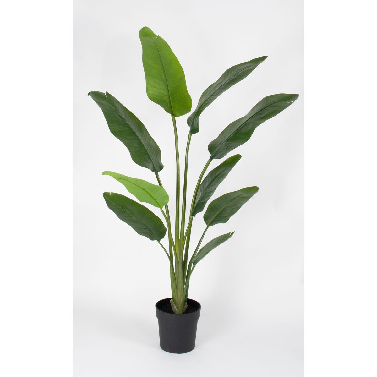 【直送】【人工観葉植物】ビダヤコム/Planeco オーガスタポット/VR24017-024G ※返品代引キャンセル不可..