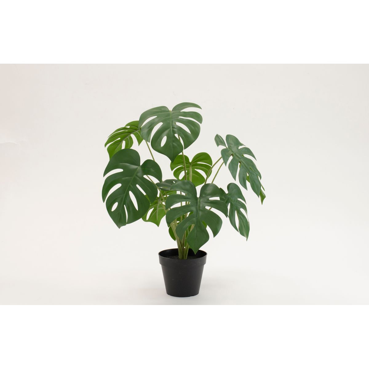 【直送】【人工観葉植物】ビダヤコム/Planeco モンステラポット/VR24048-024G ※返品代引キャンセル不可..