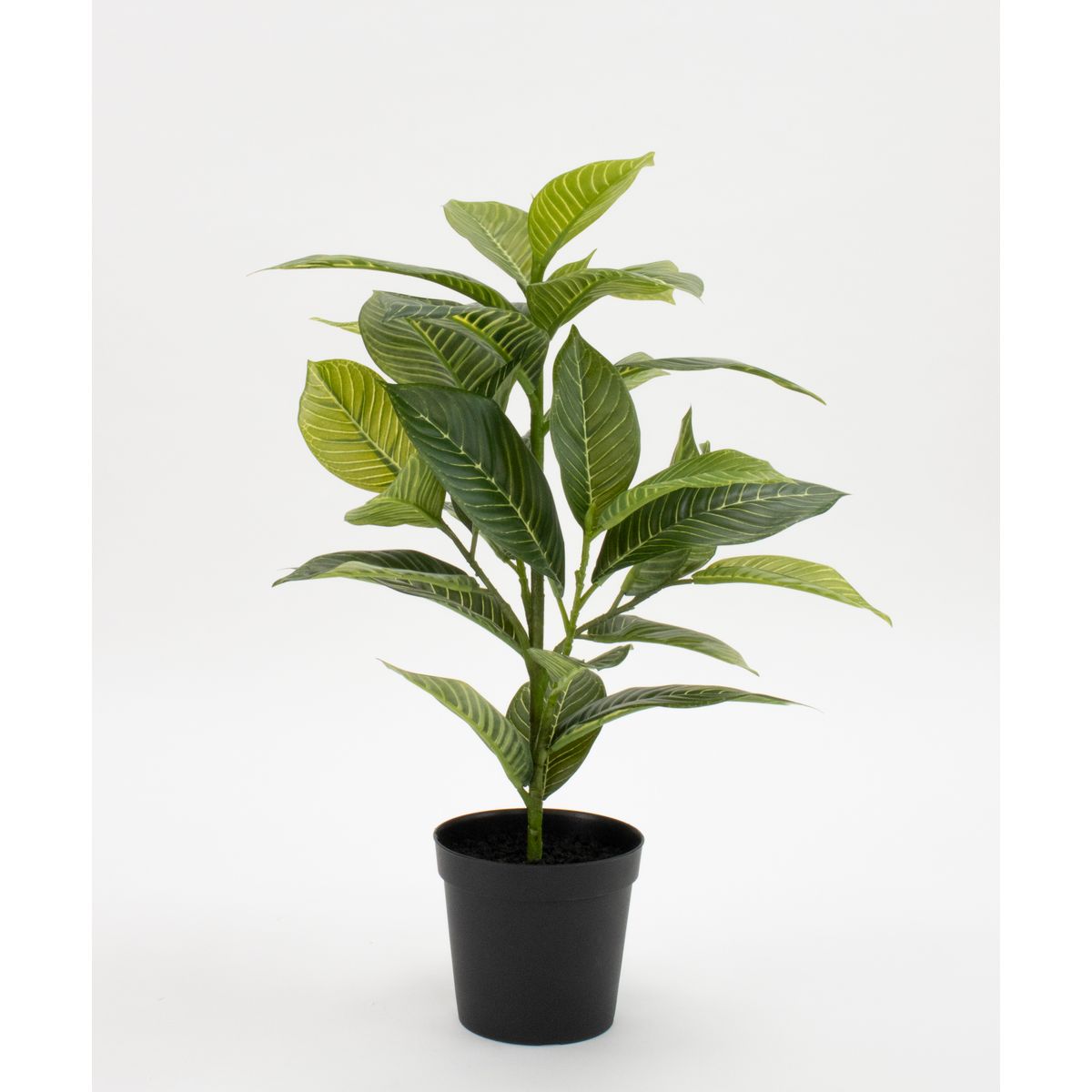 【直送】【人工観葉植物】ビダヤコム/Planeco アフェランドラポット/VR24124-024G ※返品代引キャンセル..