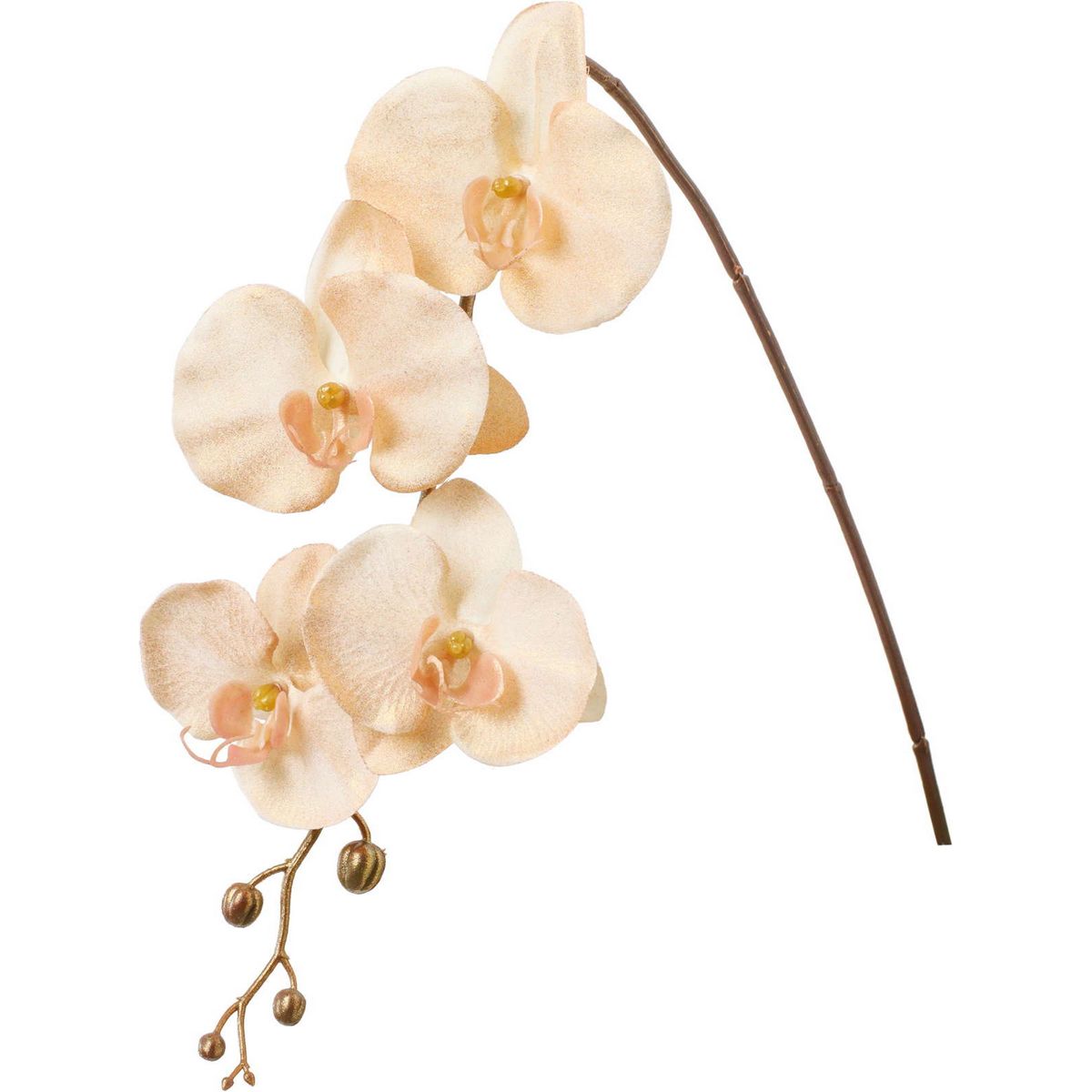 【造花】YDM/ブラッシュコチョウラン クリーム/FS-5488-CR【01】 造花（アーティフィシャルフラワー） 造花 花材「か行」 コチョウラン（胡蝶蘭）