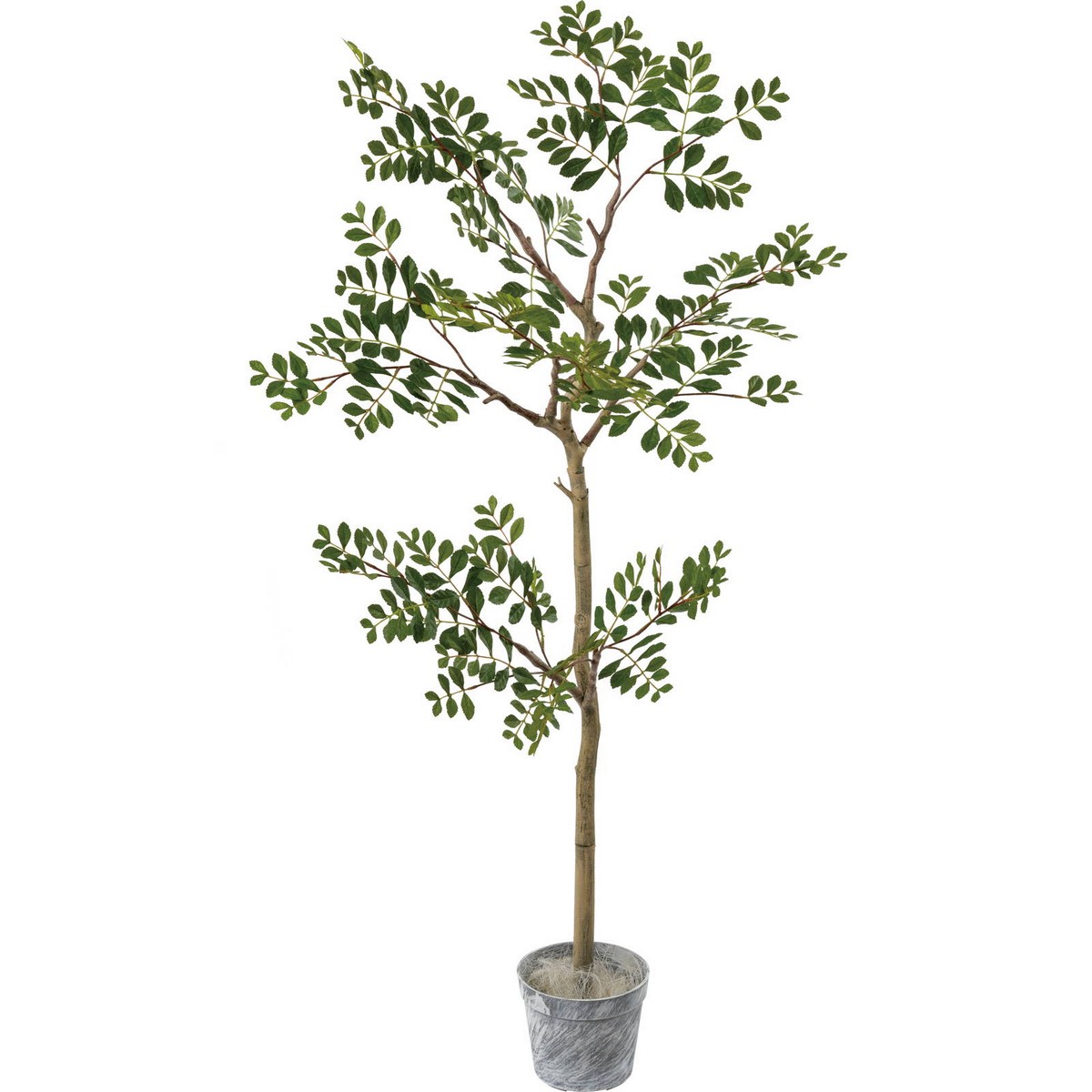 【人工観葉植物】YDM/ジョイントトネリコツリーセット GR/GLA-1515-GR【01】 造花（アーティフィシャル..