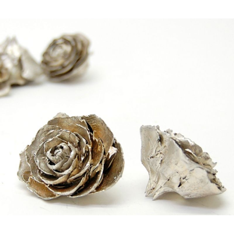 【ドライ】コアトレーディング/シダローズ プラチナ/10662【10】 ドライフラワー ドライ実物＆フルーツ 木の実