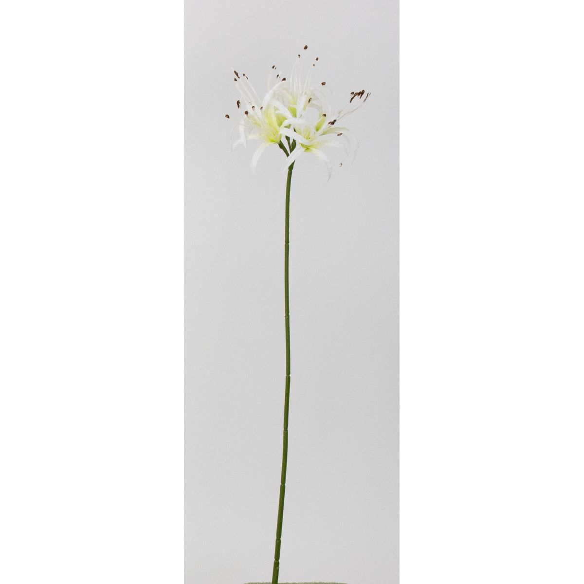 White - 【造花】ビダヤコム/ネリネリリー ホワイト/V26030-001W【01】[12本] 造花 アーティフィシャルフラワー ネリネ・ダイヤモンドリリーフェイクフラワー フラワーアレンジ花材 おしゃれ ハンドメイド材料 クラフト素材 装飾 ディスプレイ 春 夏 秋