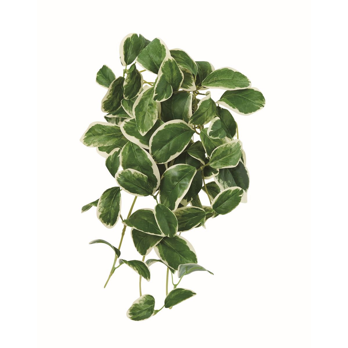 【造花】アスカ/ツルニチニチソウブッシュ #053A クリームグリーン/A-44875-53A【01】 造花（アーティフィシャルフラワー） フェイクグリーン、葉物 トラディスカンティア 葉物 リーフ ツル性 インテリア アレンジメント 装飾 ディスプレイ 花材